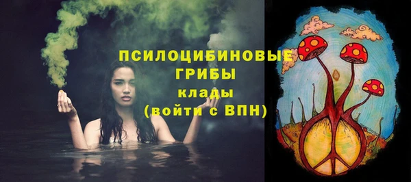круглые Бронницы