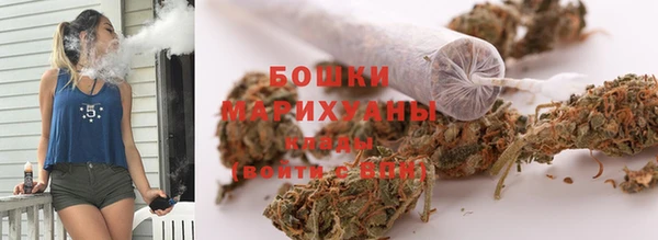 твердый Сясьстрой