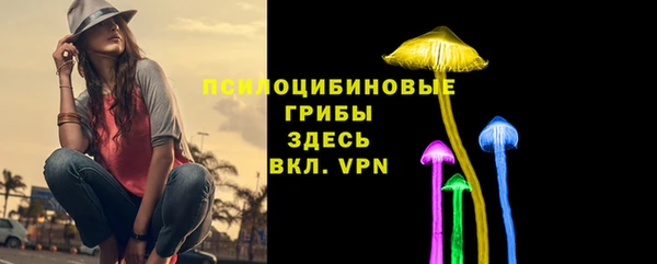 apvp Бугульма