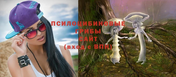 круглые Бронницы