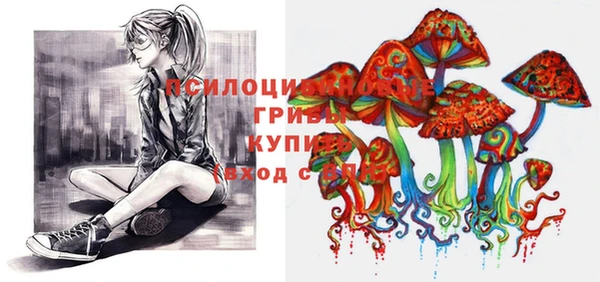 мяу мяу мука Бородино