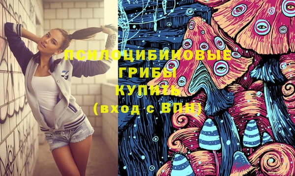 apvp Бугульма