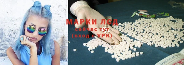 мяу мяу мука Бородино