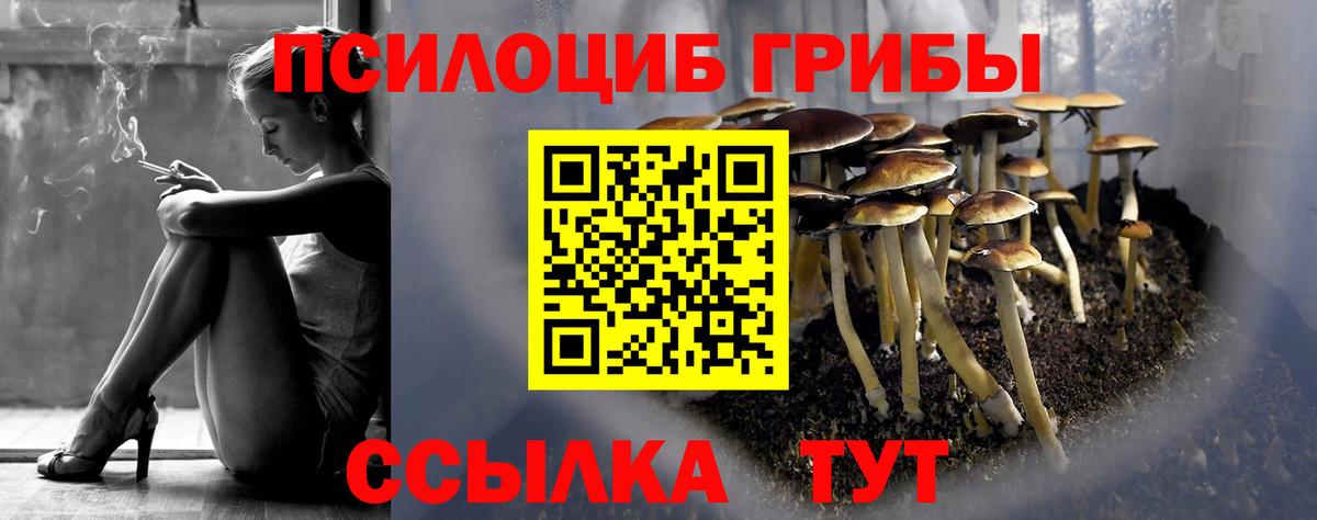 Псилоцибиновые грибы GOLDEN TEACHER Кузнецк